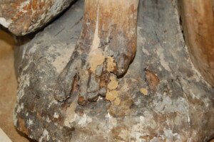 Pair of cherubs restoration